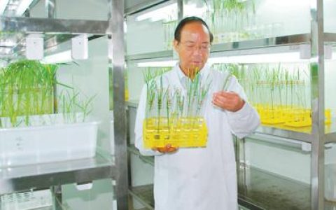 谢华安简介（谢华安是哪里人，为人们做的事有哪些？）