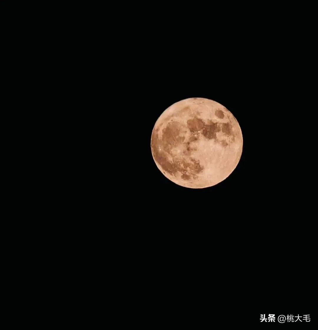 中秋之夜作文500字六年级习作《中秋之夜》