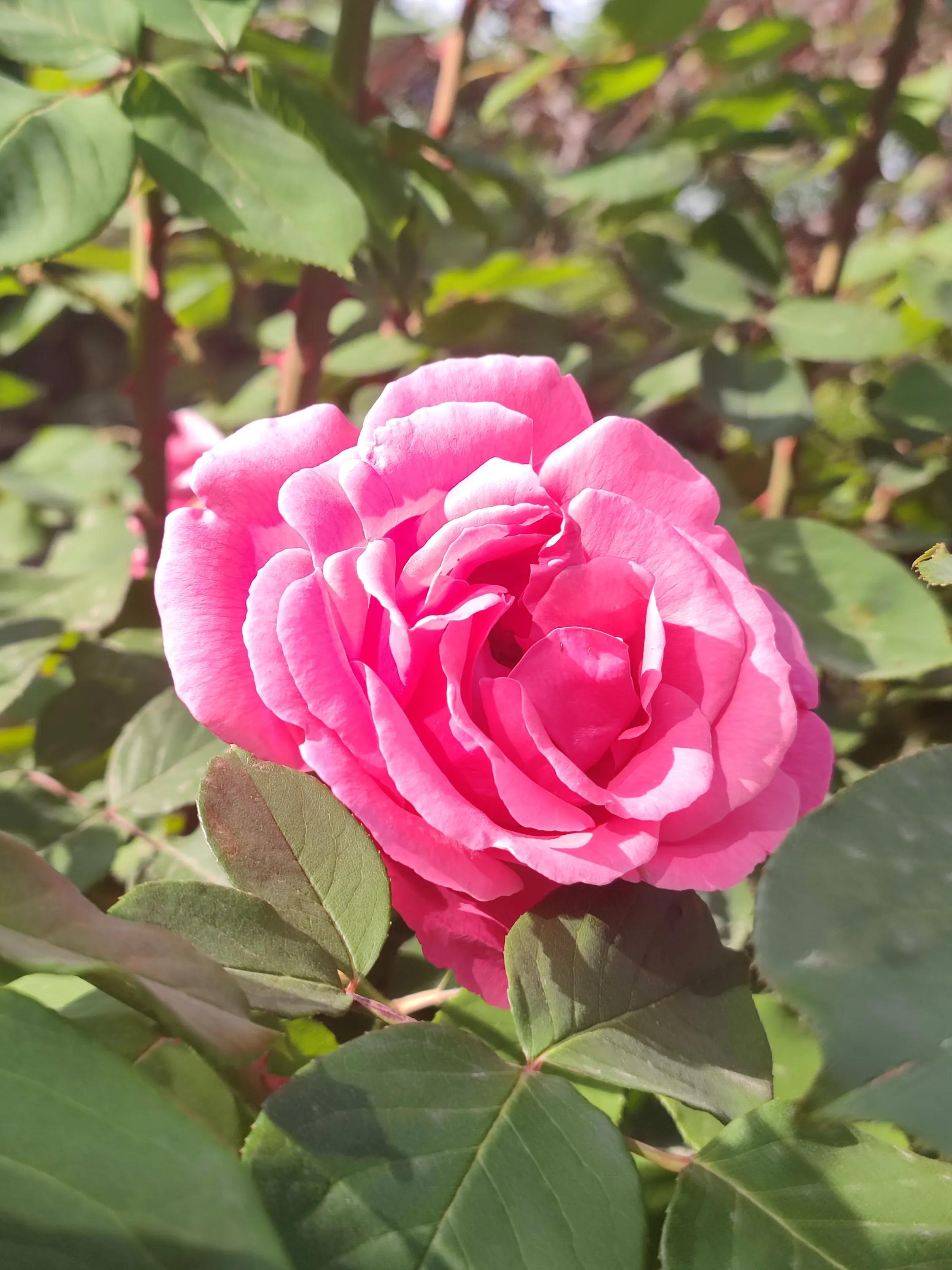 关于往事的作文优秀叙事范文《往事,在脑海流动》-小学作文-电子课本网 关于往事的作文优秀叙事范文《往事,在脑海流动》-小学作文