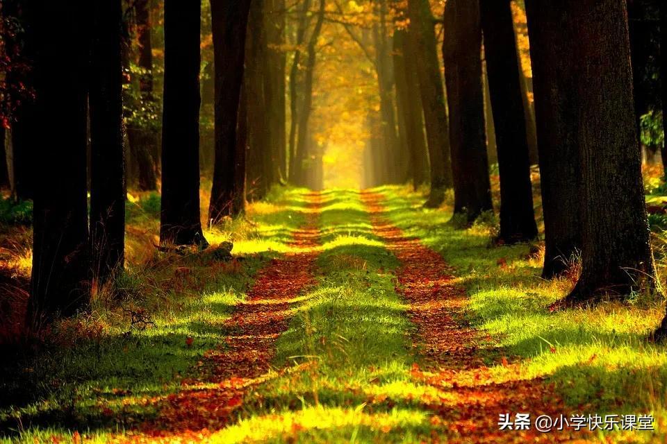 小伙伴作文汇总4篇小学作文《我的小伙伴》-小学作文-电子课本网 小伙伴作文汇总4篇小学作文《我的小伙伴》-小学作文