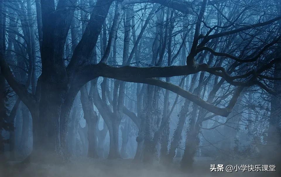 小伙伴作文汇总4篇小学作文《我的小伙伴》-小学作文-电子课本网 小伙伴作文汇总4篇小学作文《我的小伙伴》-小学作文
