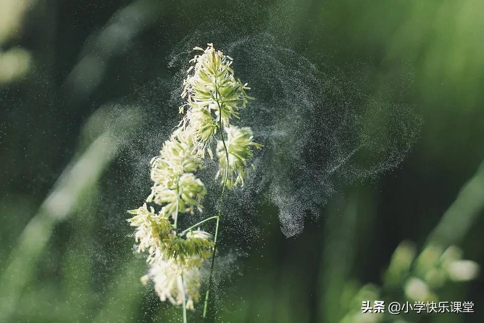 以尝试为话题的作文5篇（精选有趣范文）