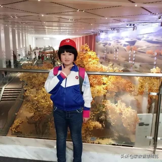 假如我有一双翅膀作文800字小学精选（假如我有一双翅膀）-小学作文