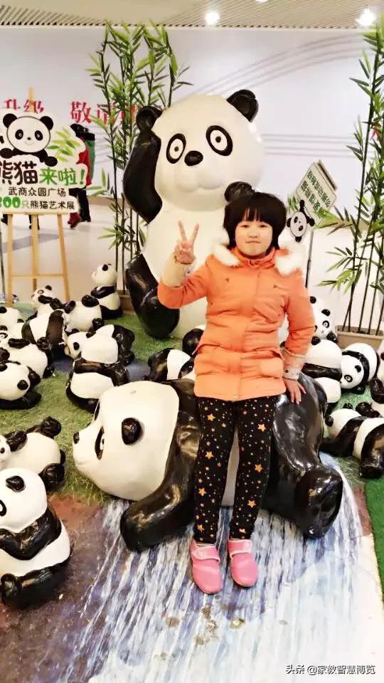 假如我有一双翅膀作文800字小学精选（假如我有一双翅膀）-小学作文