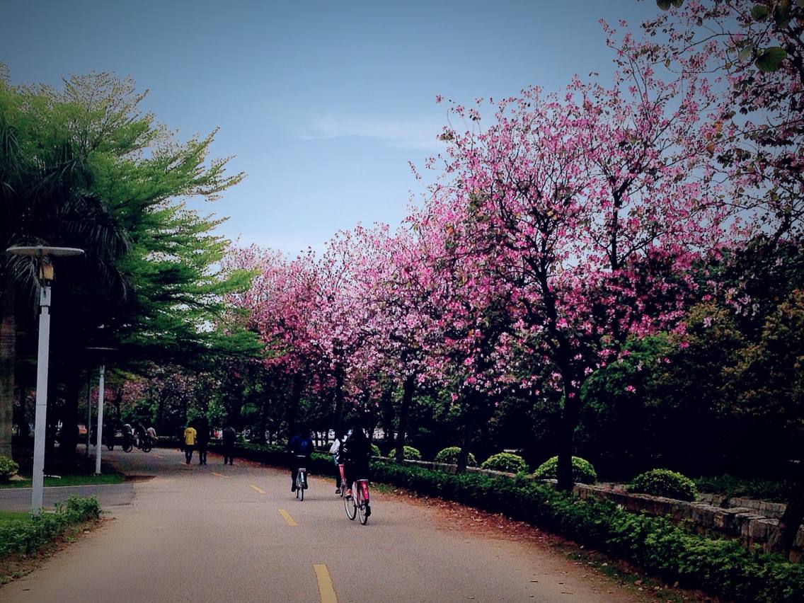 写景作文600字4篇小学优秀范文-小学作文-电子课本网 写景作文600字4篇小学优秀范文-小学作文