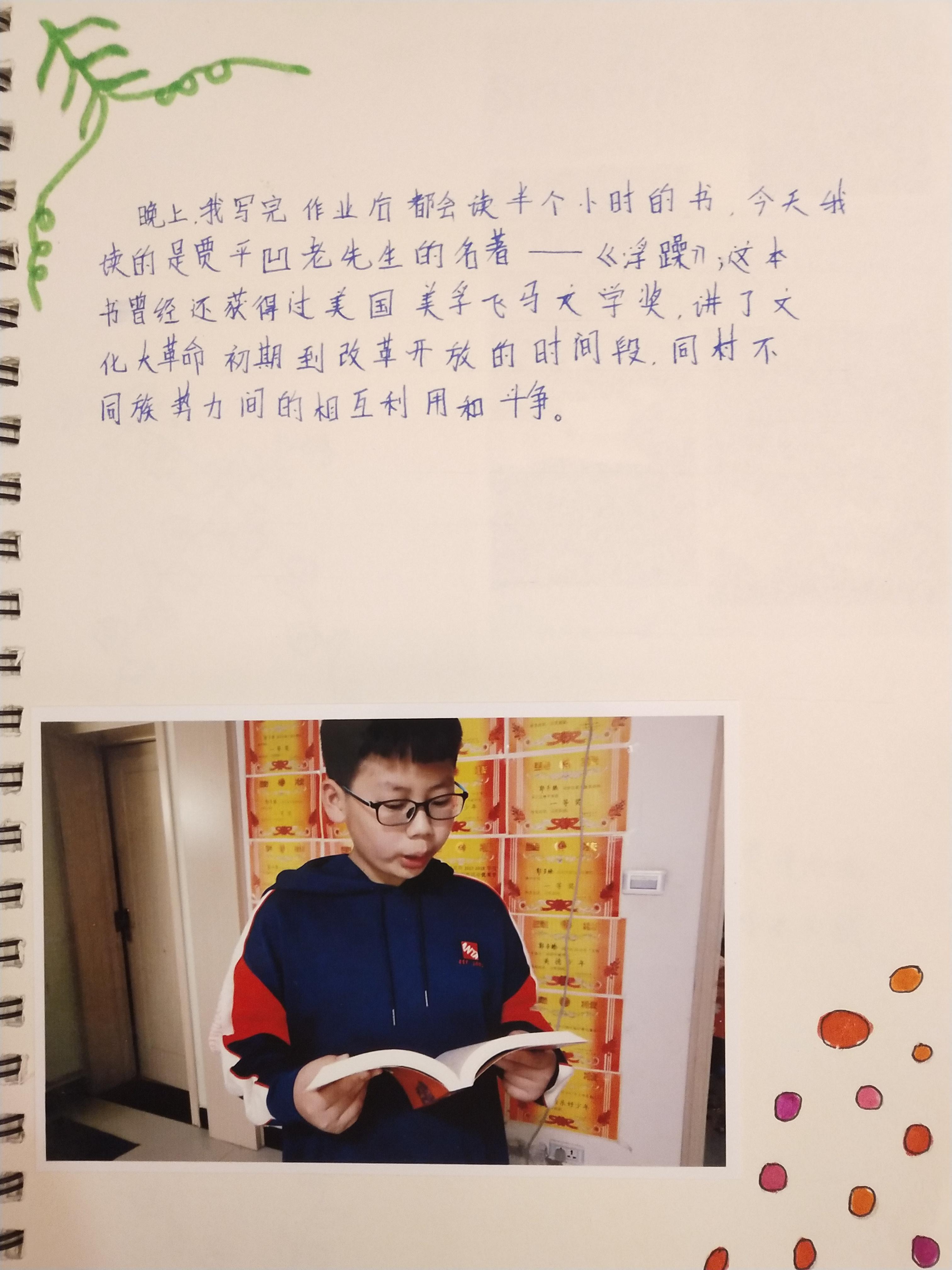 夺冠观后感,努力拼搏,勇攀高峰