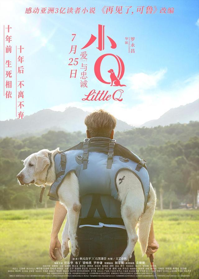 导盲犬小q观后感（陪伴是比爱更长久的告白）