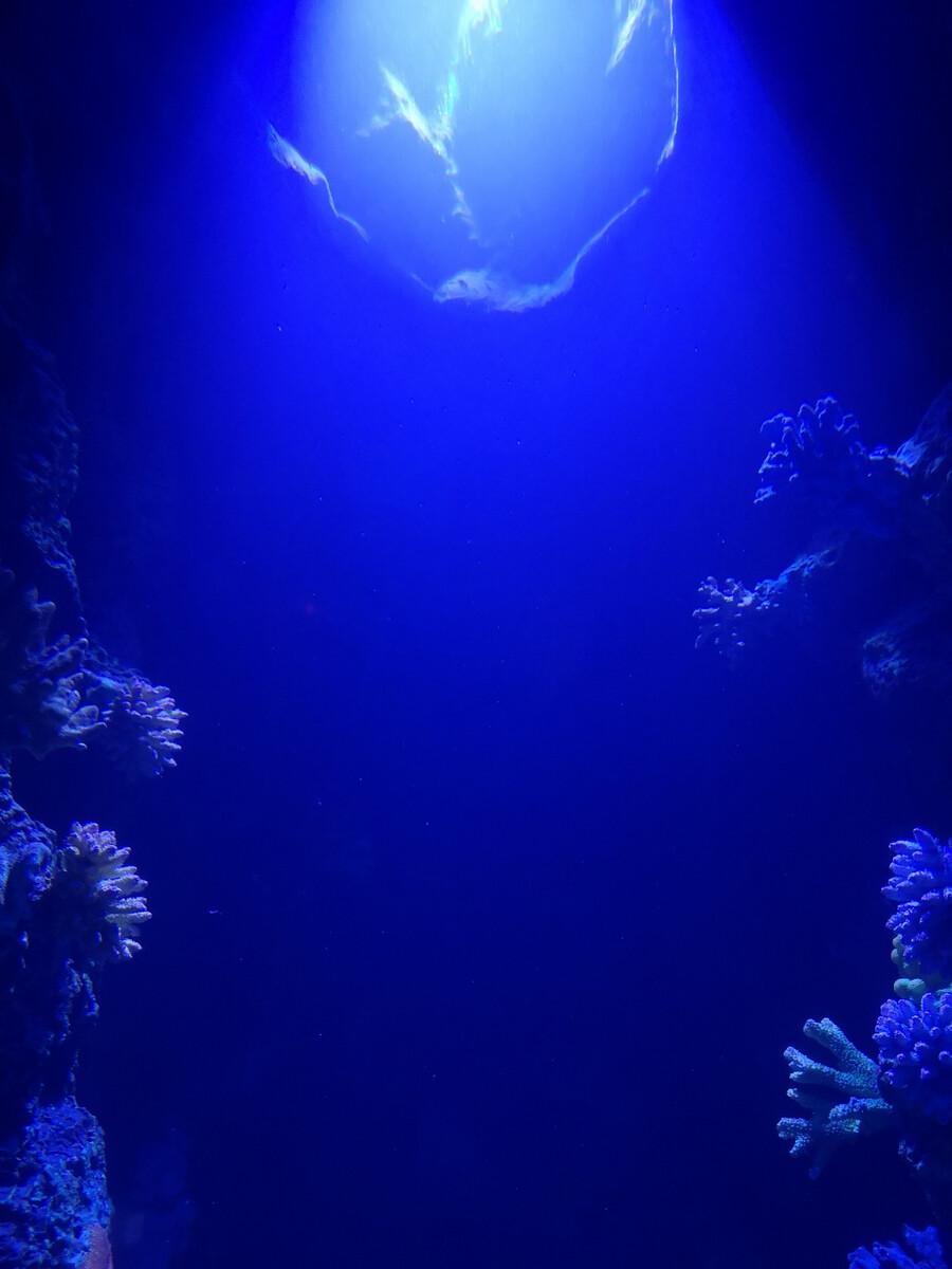 海底两万里读后感(一部早期的科幻小说)