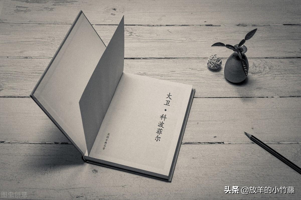 大卫科波菲尔读后感(愿你历尽千帆,归来仍是少年)