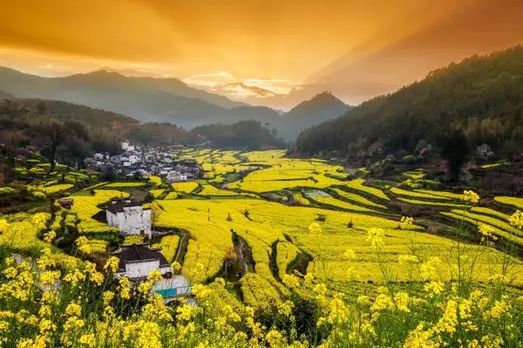 费孝通的乡土中国（读懂农村，才能读懂中国）