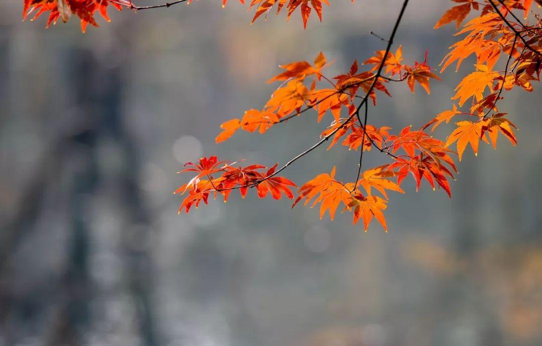 与秋天有关的词语，30个关于秋的成语