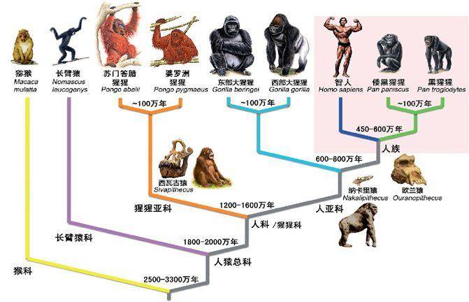地球一共灭亡了几次,都有哪几次?