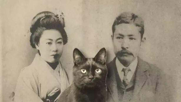 夏目漱石简介和代表作有哪些