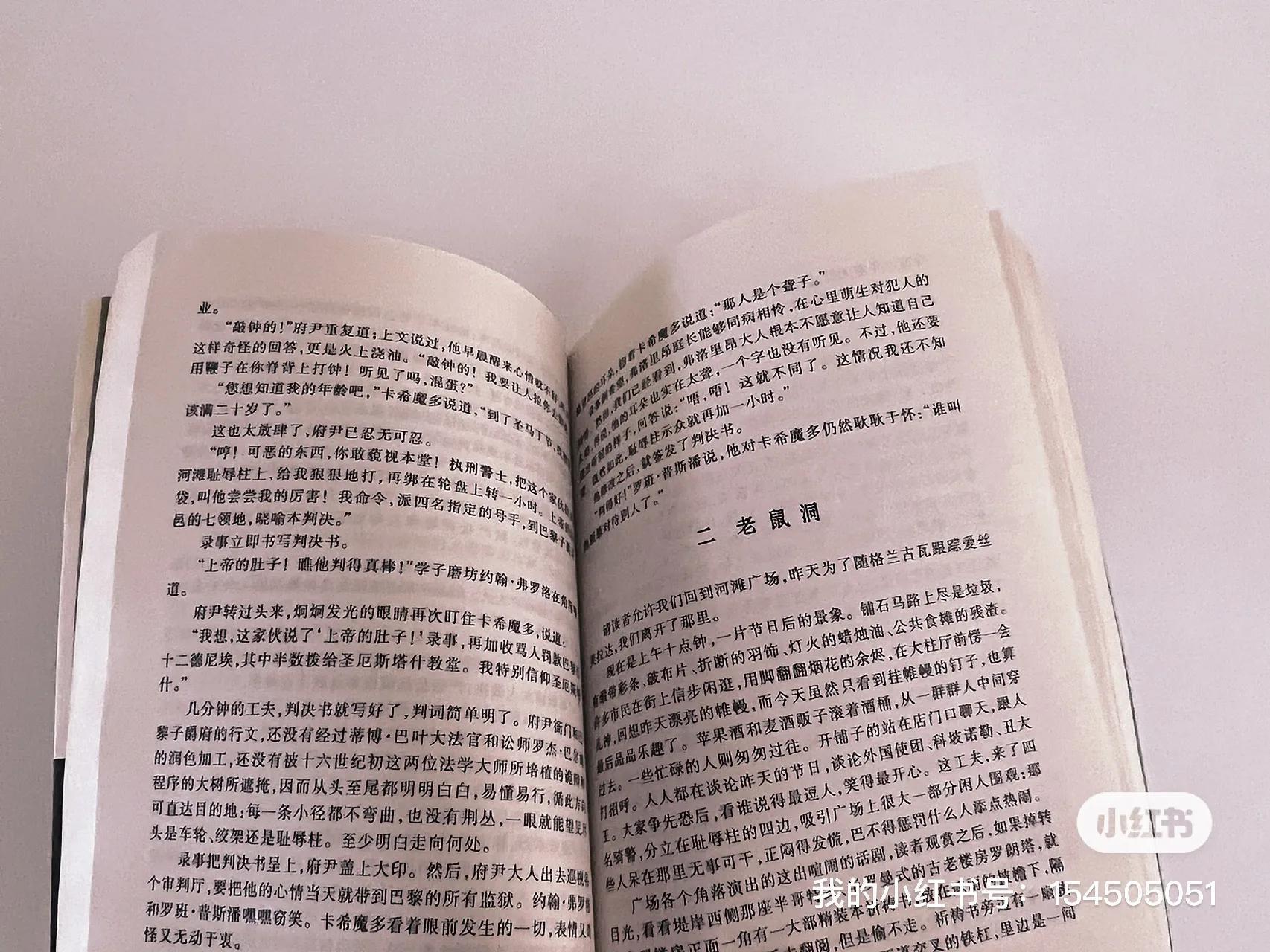 巴黎圣母院读书笔记（值得一读的一本书）