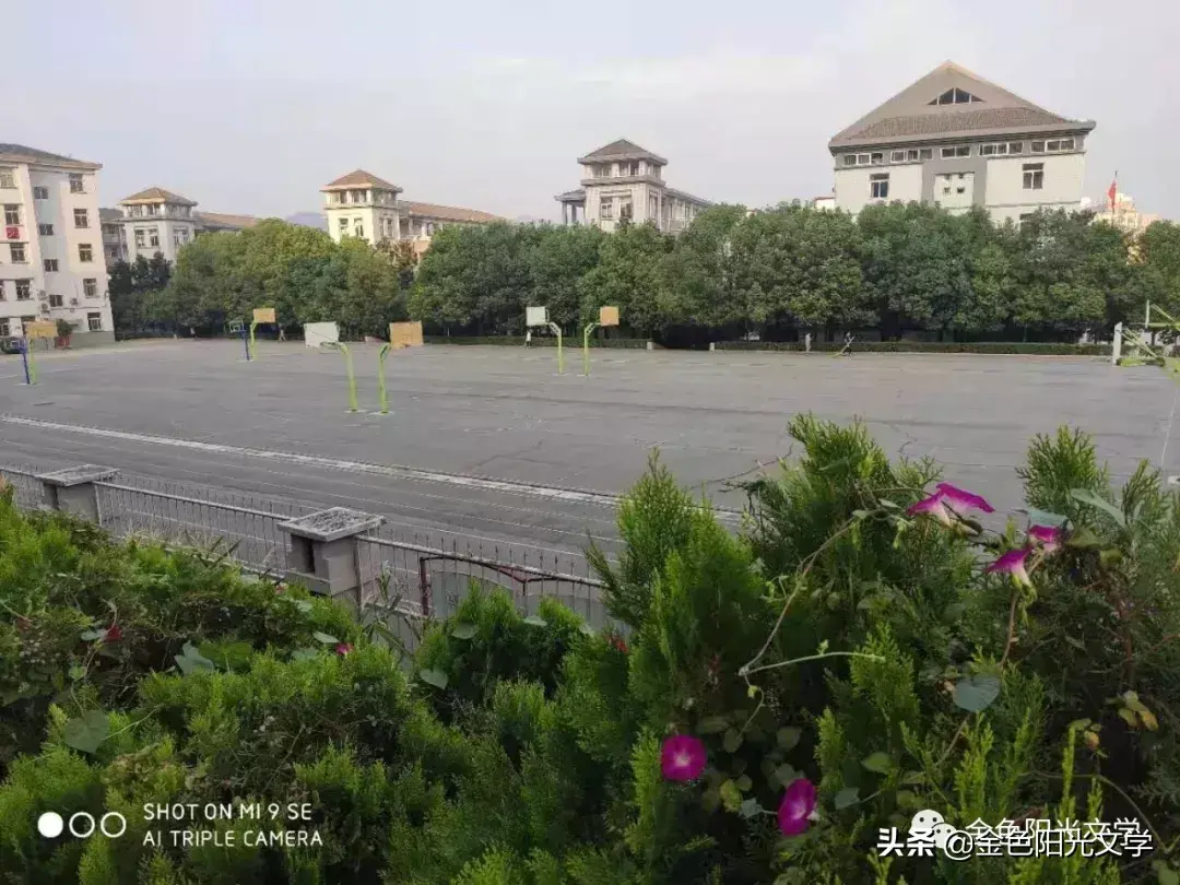 推荐一个好地方作文3篇(小学优秀范文)-小学作文-电子课本网 推荐一个好地方作文3篇(小学优秀范文)-小学作文