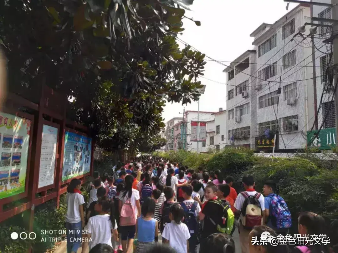 推荐一个好地方作文3篇(小学优秀范文)-小学作文-电子课本网 推荐一个好地方作文3篇(小学优秀范文)-小学作文