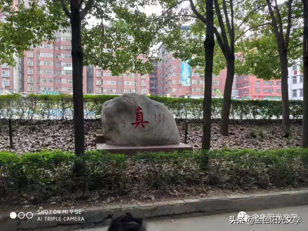推荐一个好地方作文3篇(小学优秀范文)-小学作文-电子课本网 推荐一个好地方作文3篇(小学优秀范文)-小学作文
