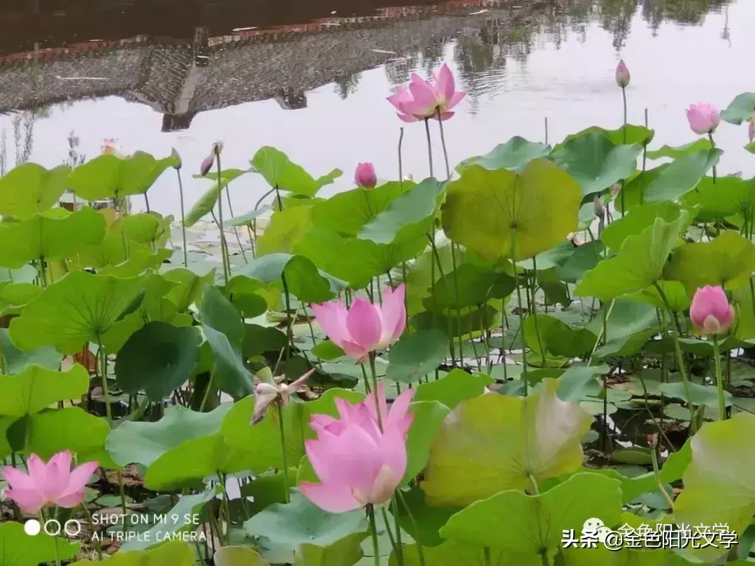 推荐一个好地方作文3篇(小学优秀范文)-小学作文-电子课本网 推荐一个好地方作文3篇(小学优秀范文)-小学作文