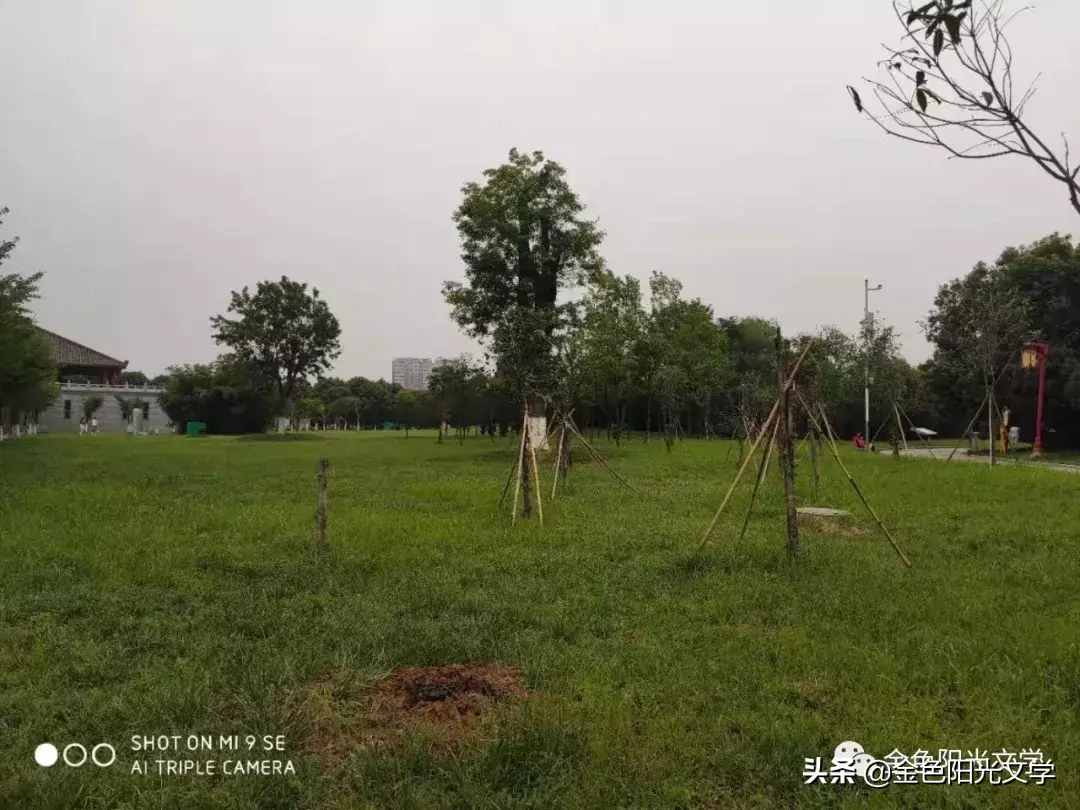 推荐一个好地方作文3篇(小学优秀范文)-小学作文-电子课本网 推荐一个好地方作文3篇(小学优秀范文)-小学作文