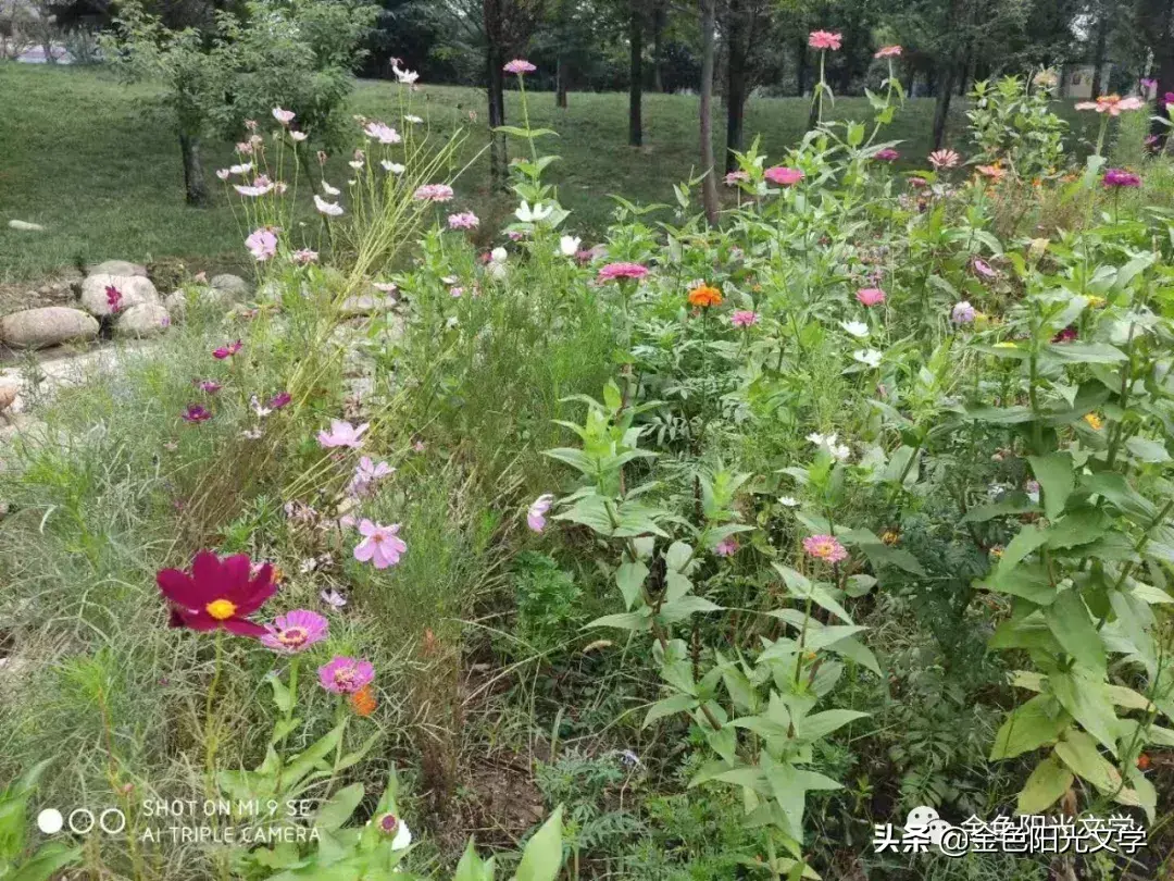 推荐一个好地方作文3篇(小学优秀范文)-小学作文-电子课本网 推荐一个好地方作文3篇(小学优秀范文)-小学作文