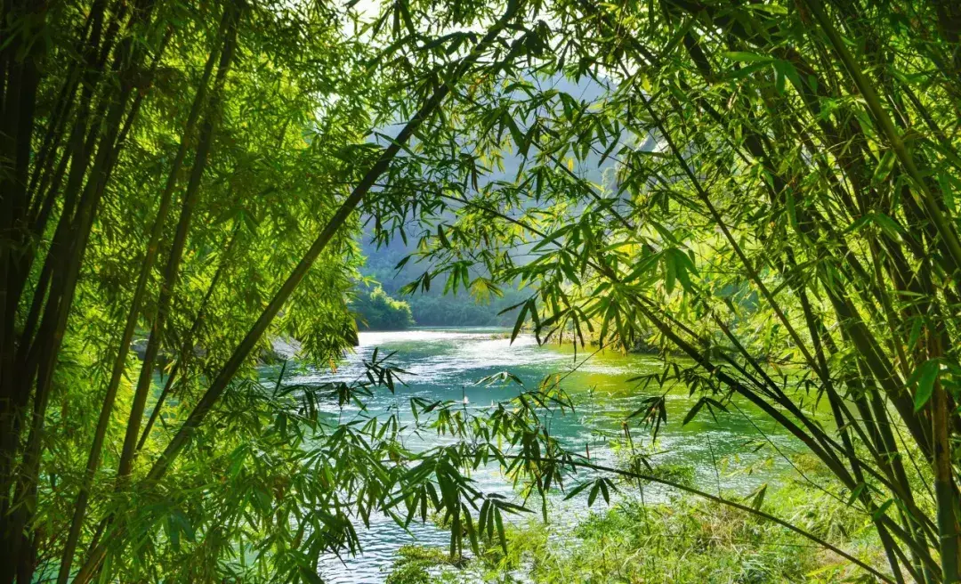描写夏天的诗句100首，带你感受夏天