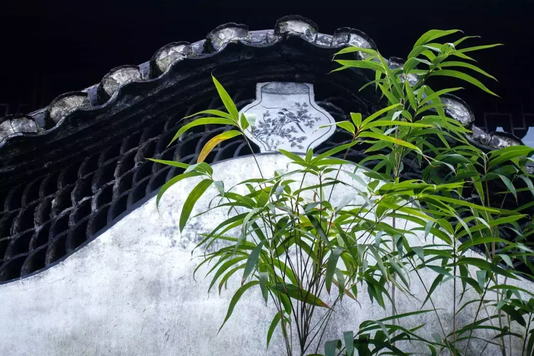 描写夏天的诗句100首，带你感受夏天