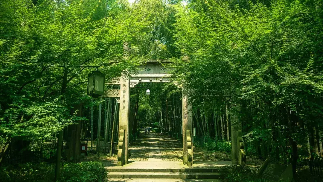 描写夏天的诗句100首，带你感受夏天