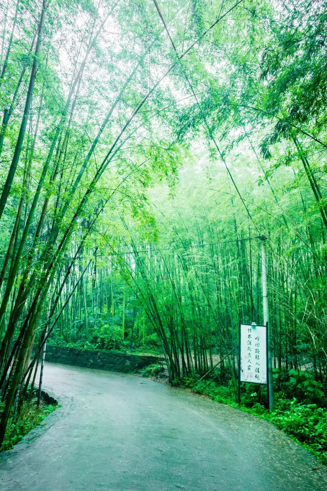 描写夏天的诗句100首，带你感受夏天