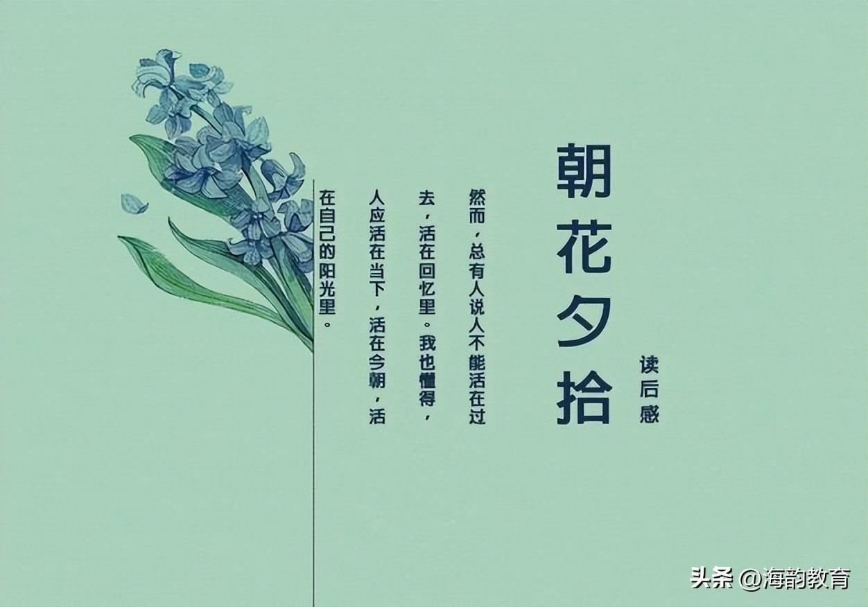 朝花夕拾的读书笔记汇总8篇（探索鲁迅的童年美好时光）