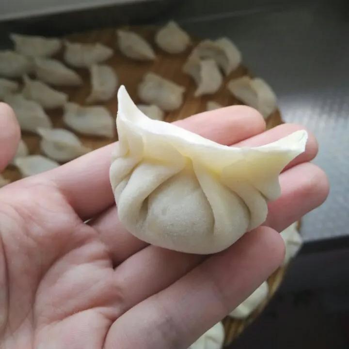 包饺子作文800字小学习作《包饺子趣事》-小学作文-电子课本网 包饺子作文800字小学习作《包饺子趣事》-小学作文