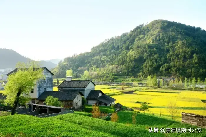 夏天的诗句10首，温柔了整个夏天