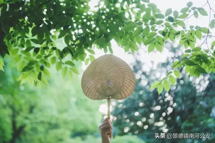 夏天的诗句10首，温柔了整个夏天