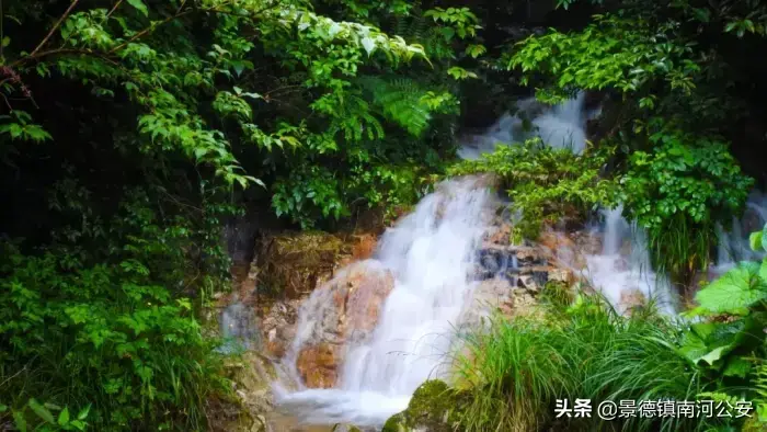 夏天的诗句10首，温柔了整个夏天