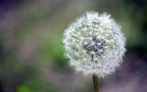 祝福语句简短唯美20句，愿你成为自己的太阳