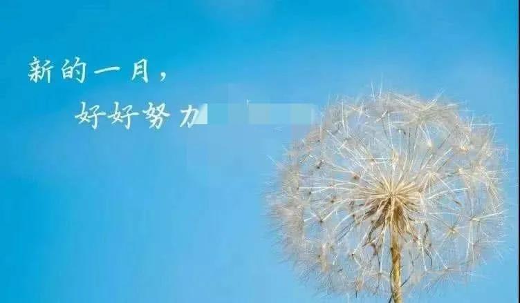 祝福语句简短唯美20句，愿你成为自己的太阳