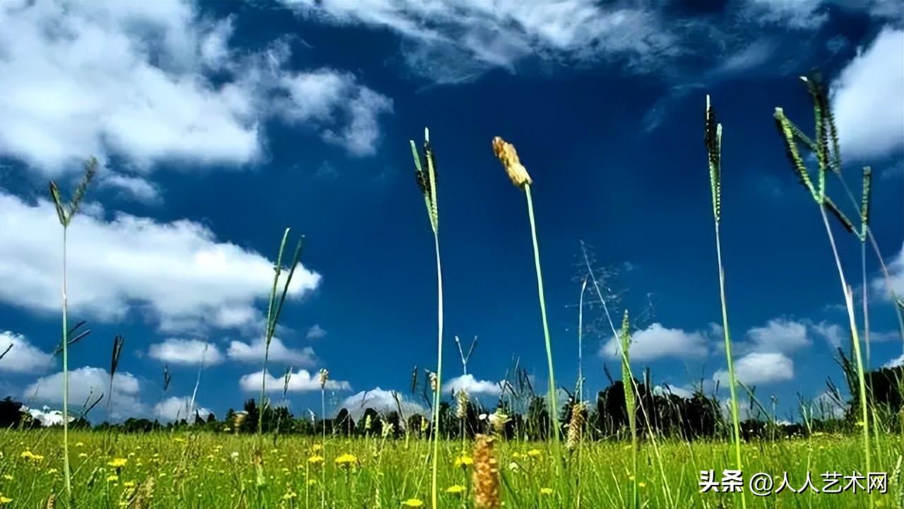 中秋节一句话祝福20句，中秋节最好的祝福语