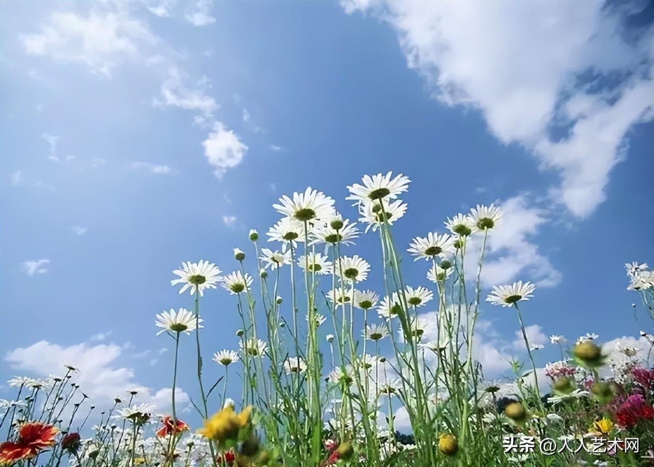 祝中秋祝福简短句20句，愿卿之岁月安