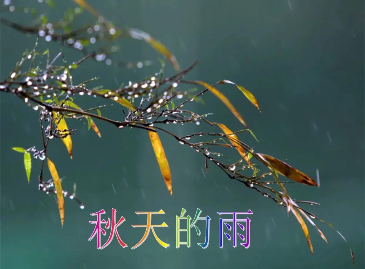 秋天的雨的句子28句，一笺清秋缓缓来