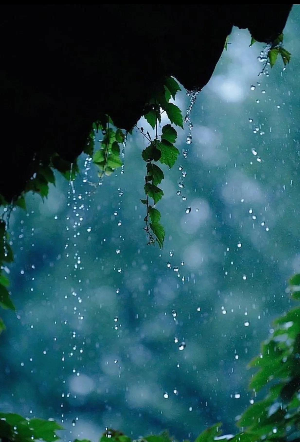 描写雨的优美句子39句，下雨天的美丽句子