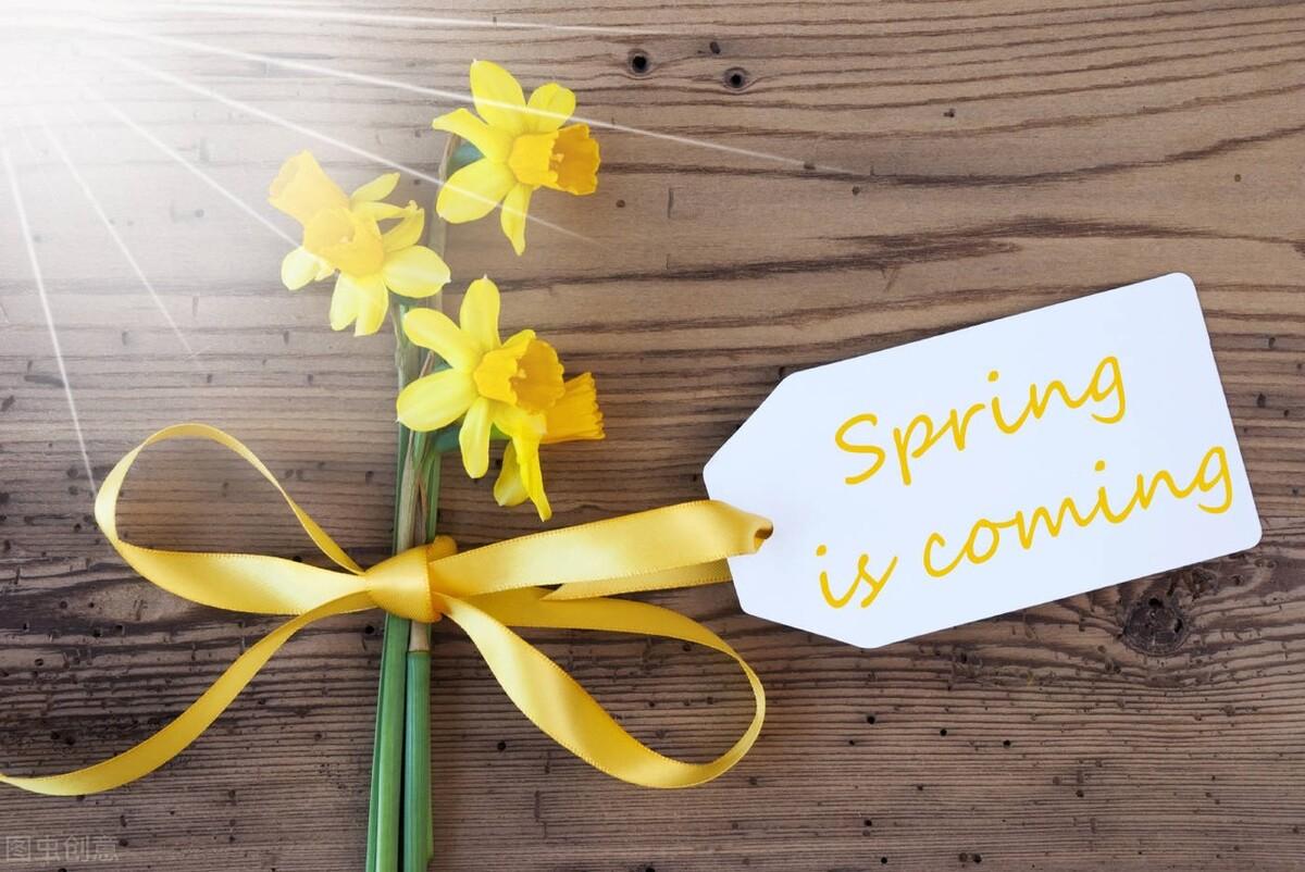 形容春天的句子唯美15句，关于春天温柔美好的短语