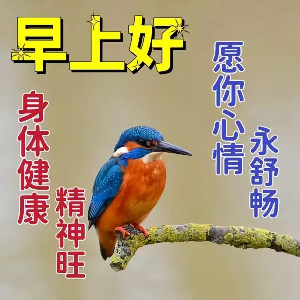 早上好真诚问候语，一声早安，平安吉祥