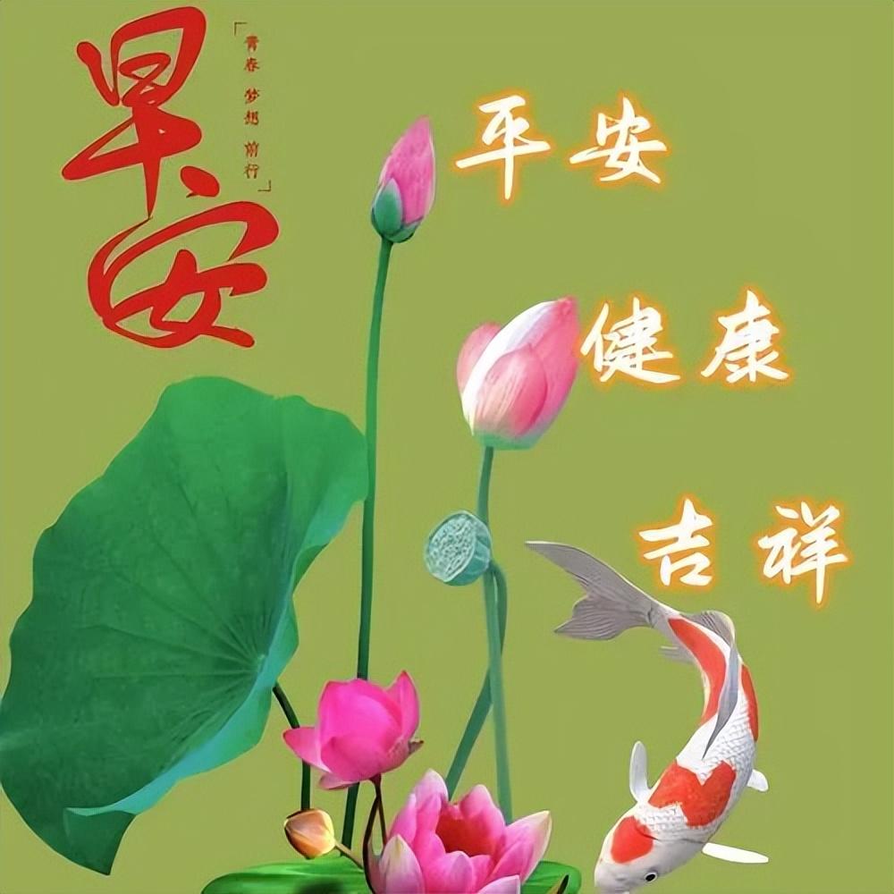 早上好真诚问候语，一声早安，平安吉祥