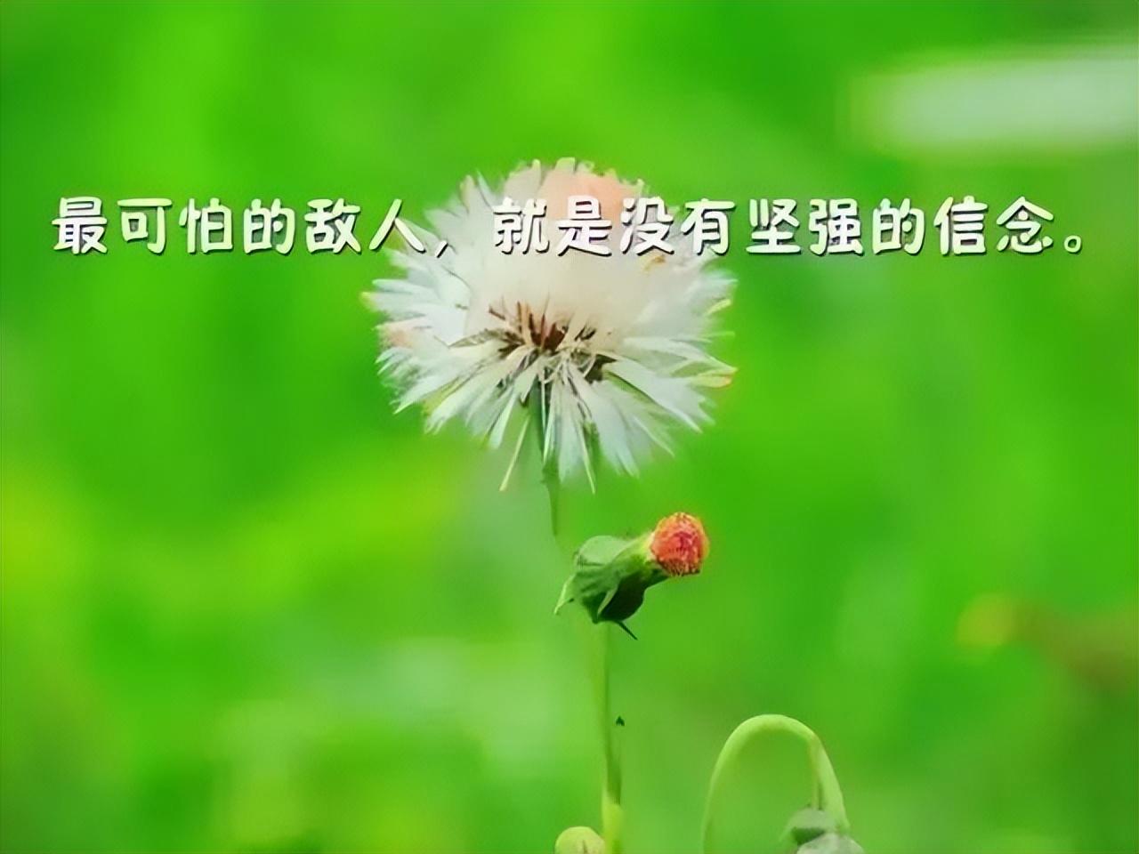 激励自己的话20句，唤醒心灵的力量