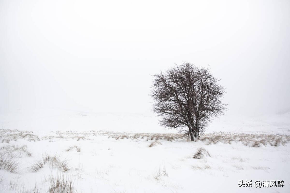 第一场雪文案15句，第一场雪经典句子