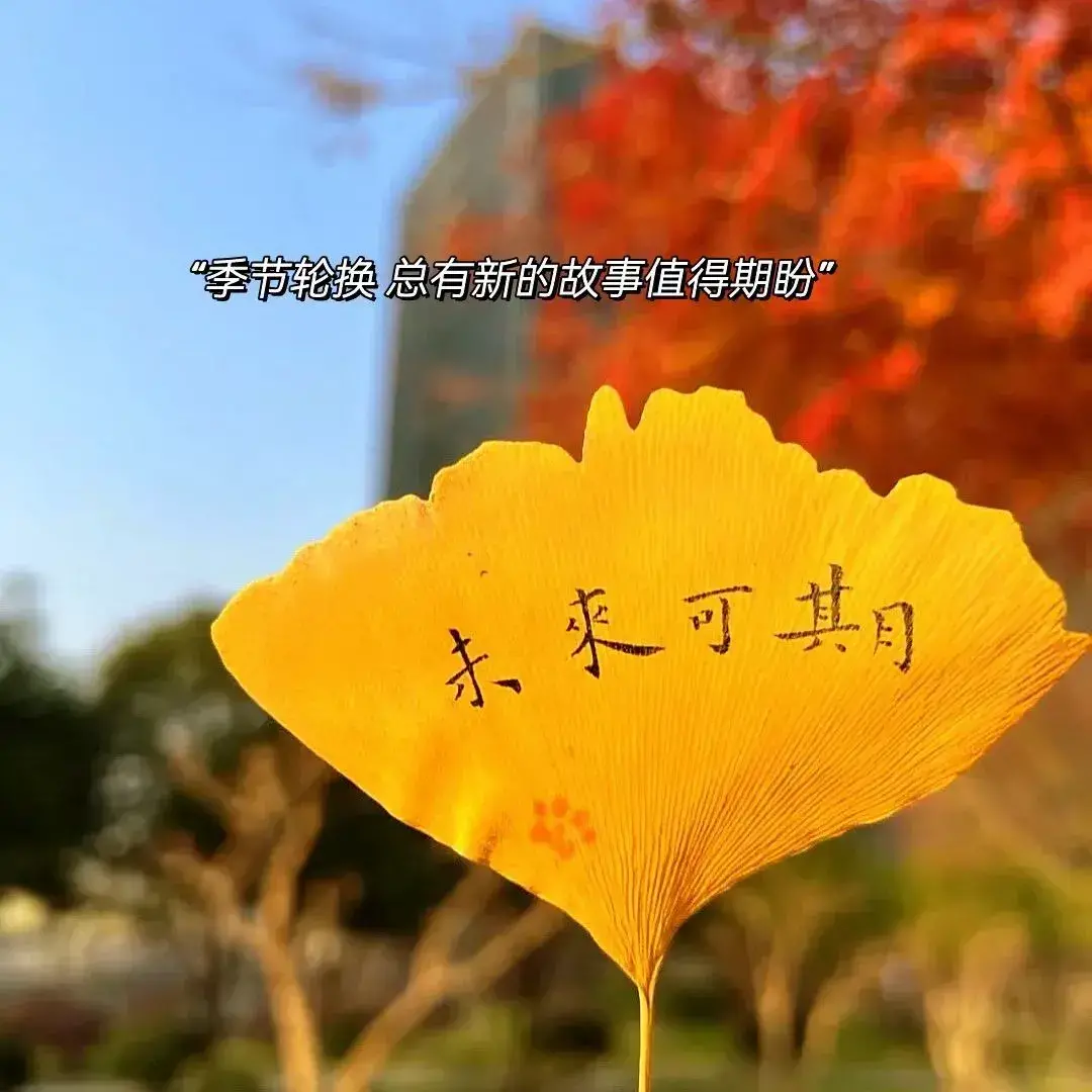 描写秋天的好句子36句，适合秋天的浪漫文案短句