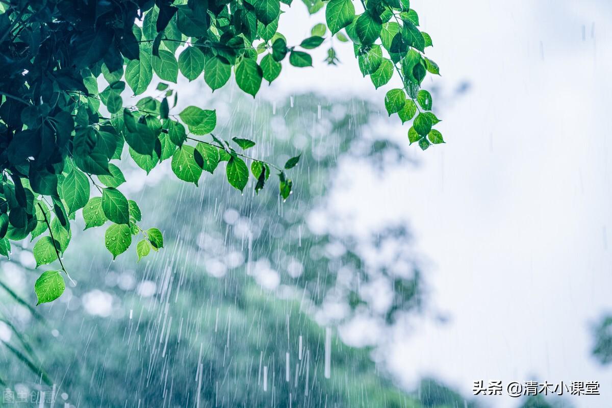 描写春雨的作文400字小学习作《春雨的歌》