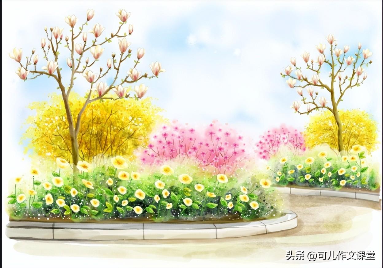 校园的一角作文600字初中习作（校园的一角）