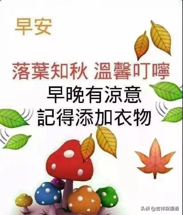 早上最暖心的问候语10句，阳光快乐，沁人心脾