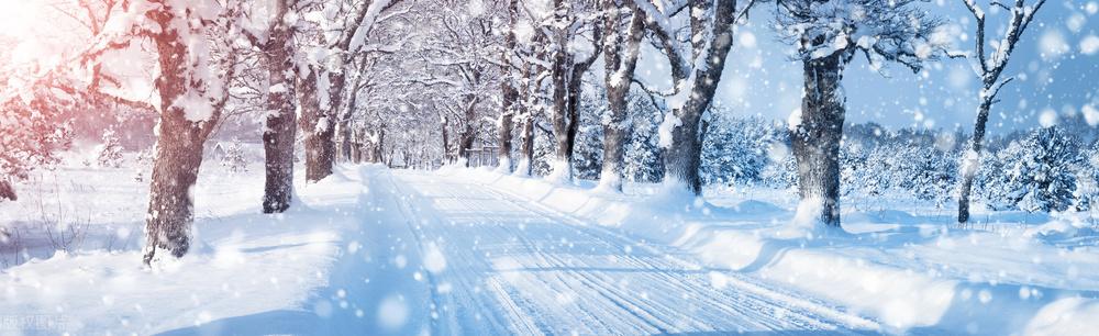 写雪的句子24句，总有一句让你心仪!