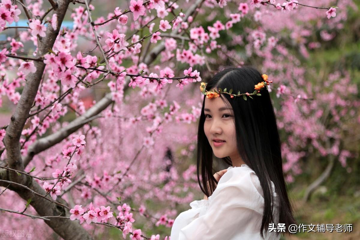 桃花的作文400字小学习作(春天的桃花)-小学作文-电子课本网 桃花的作文400字小学习作(春天的桃花)-小学作文